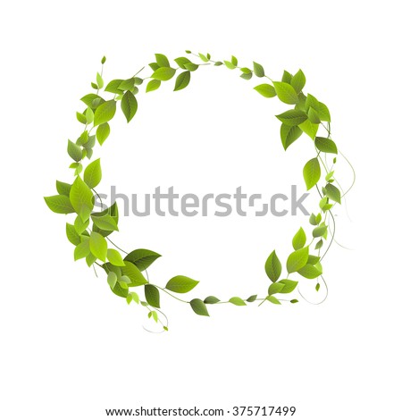 
vector. Round banner of branches with leaves. Green leaves in a circle. vector leaves and place for text