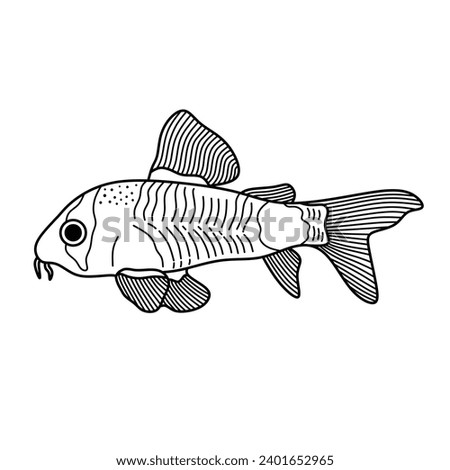 Hand drawn Cartoon Vector illustration corydoras panda fish icon Isolated on White Background