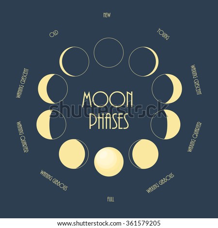 Six moon phases. Minimal flat vector illustration.