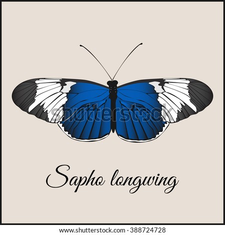 Vintage card with butterfly. Minimal flat vector illustration. Sopho longwing. Lettering handwriting calligraphy. Vintage or retro greeting postcard.Print or web.Packing 