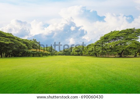 Green grass green trees in beautiful park white Cloud blue sky in noon.
Beautiful park scene in public park with green grass field, green tree plant and a party cloudy blue sky ストックフォト © 