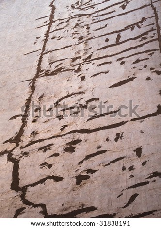 Tan background with brown random line markings
