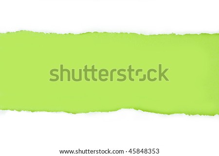 Torn Paper Strip on Green