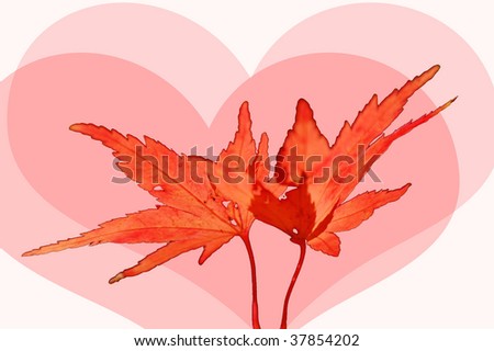 two maple leaves with two heart