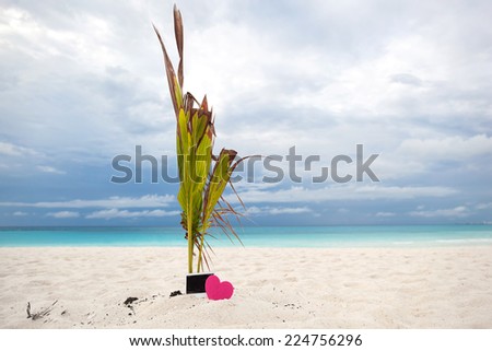 Empty photo card with heart on sandy beach near young palm tree. Memory Travel Concept