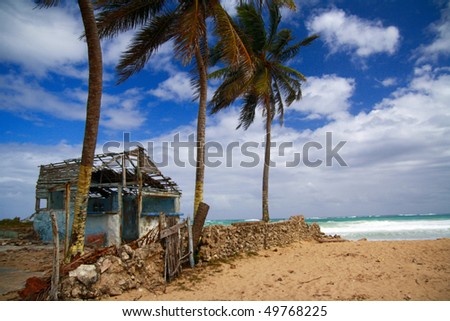 Broken caribbean house on beach with palms