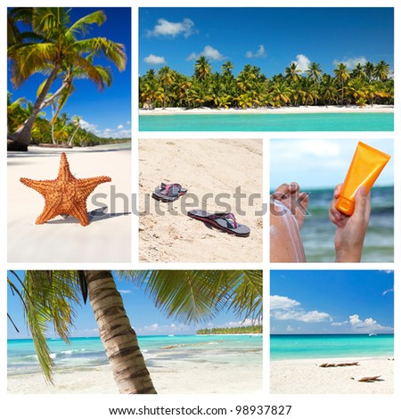 Tropical nature collage with caribbean landscape
