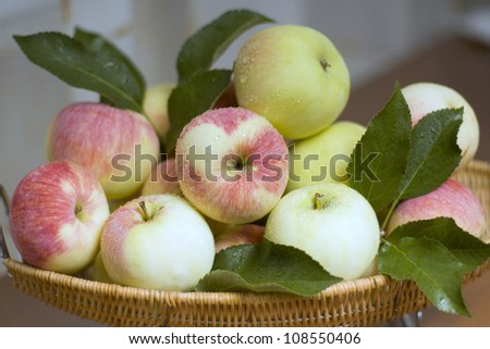 apples closeup summer with green leaves