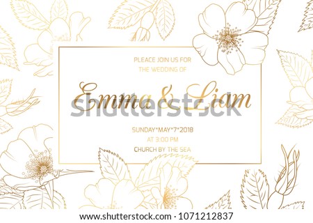 sakura flowers border template download free vector art stock