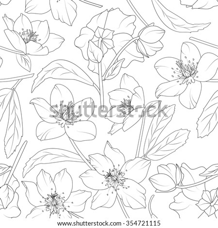 Download Vector Images Illustrations And Cliparts Hellebore Flowers Blossom Seamless Pattern Winter Rose Christmas Rose Lenten Rose Black Outline On White Background Vector Illustration Lily Poppy Flowers Pattern Peonies Flowers Pattern Hqvectors Com PSD Mockup Templates