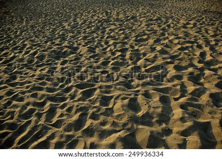 Sandy beach with foot tracks and hard shadows at sunny summer afternoon.