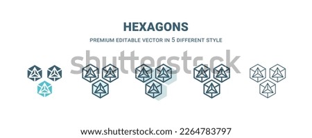 hexagons icon in 5 different style. Outline, filled, two color, thin hexagons icon isolated on white background. Editable vector can be used web and mobile
