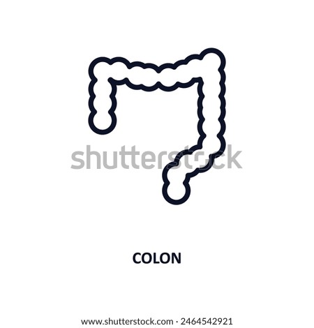 colon icon. Thin line colon icon from medical and healthcare collection. Outline vector isolated on white background. Editable colon symbol can be used web and mobile