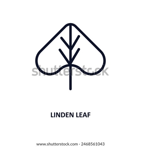 linden leaf icon. Thin line linden leaf icon from nature collection. Outline vector isolated on white background. Editable linden leaf symbol can be used web and mobile