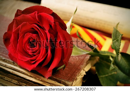 closeup of a red rose and the catalan flag on an old book for Sant Jordi, the Saint Georges Day, when it is tradition to give red roses and books in Catalonia, Spain