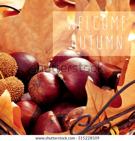 closeup of a pile of chestnuts and dried leaves in a basket, and the text welcome autumn in a text box