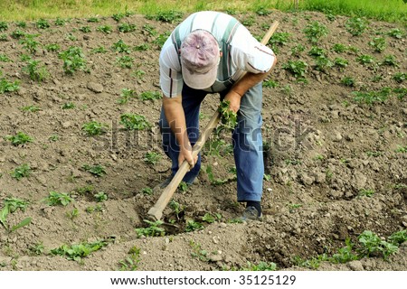 manual work - Horticulture