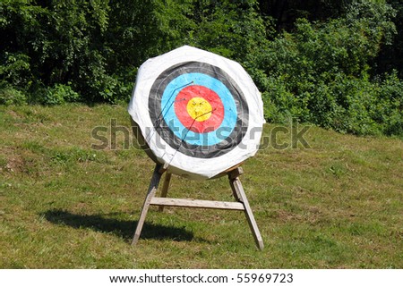 great image of a archery target full of arrows