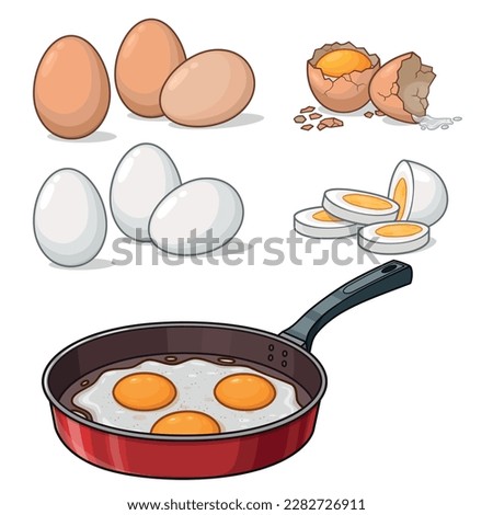 Egg vector illustration. Raw, boiled, fried eggs illustrations