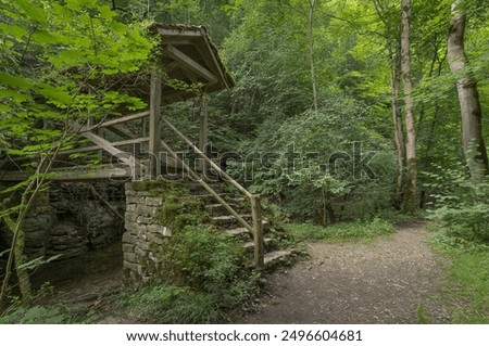 Similar – Image, Stock Photo bridge Hohenlohe Bridge