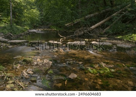 Similar – Image, Stock Photo bridge Hohenlohe Bridge