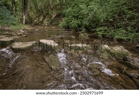 Similar – Image, Stock Photo bridge Hohenlohe Bridge