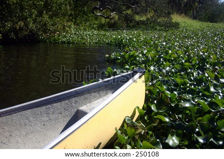 Summer canoe ride. Vegetation blocking path of yellow canoe on this river...docked in plants.