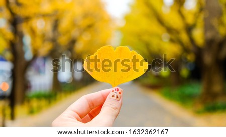 Shutterstock Puzzlepix