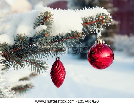 Red Christmas balls on a snow-covered tree branch