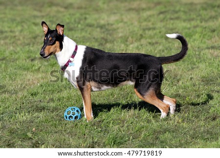 Shutterstock Puzzlepix