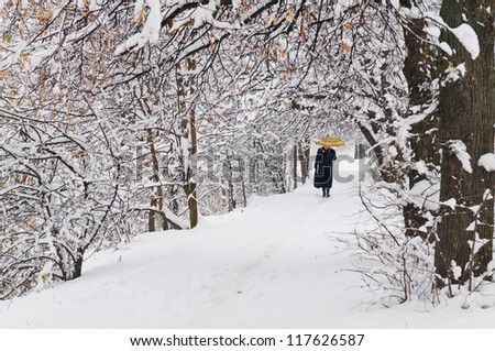 The avenue from lindens under the first snow and a lonely figure of the going woman.