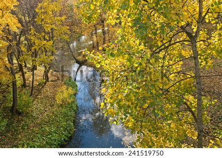 Trees with yellow leaves and the blue river.
