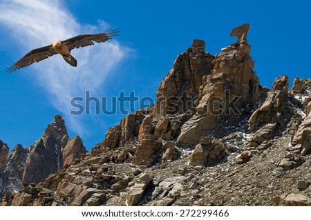 Eagle soaring near sacred for Buddhists the rock Karma Axe near Mount Kailas in Tibet.