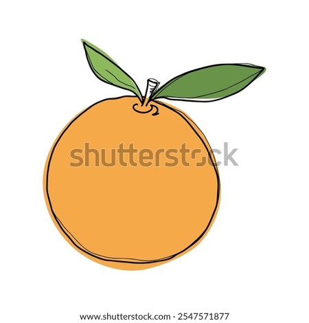 Orange, hand-drawn with outline, leaves, isolated on a white background, flat design, vector. A bright colored element, juicy, fresh, sweet citrus fruit for decoration, design, labels, icons.