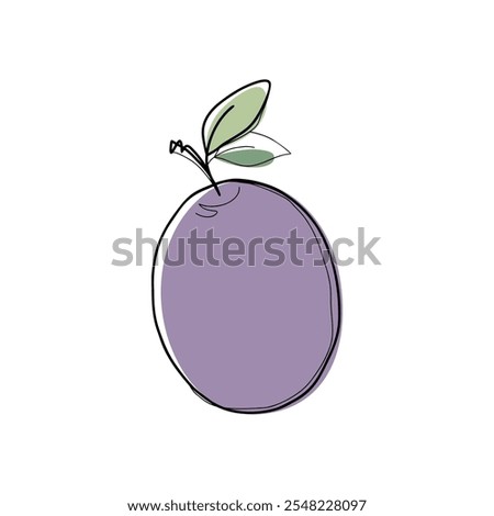 Purple plum with leaves, hand-drawn prunes isolated on a white background, vector. Illustration of a fruit outline with a colored spot in the background. Delicious label element, flat design