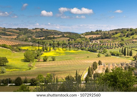 Outdoor Tuscan hills landscape. Horizontal bright shot