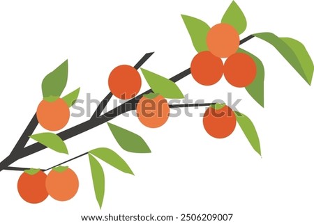 Similar – Image, Stock Photo Persimmon on the tree