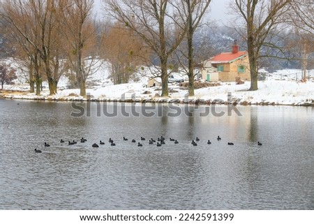 Similar – Image, Stock Photo 1600 | Mountain lake with clouds hanging low in the mountain