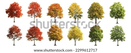 Similar – Image, Stock Photo Single tree in autumn dress in the center of the picture