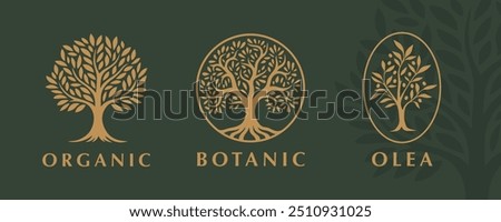 Sophisticated set of tree logos featuring organic and botanical designs. Perfect for branding in eco-friendly, natural, or botanical-themed businesses and projects.