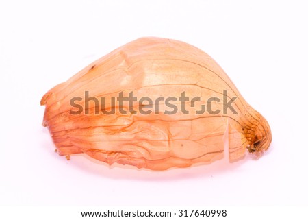 onion skin on white background