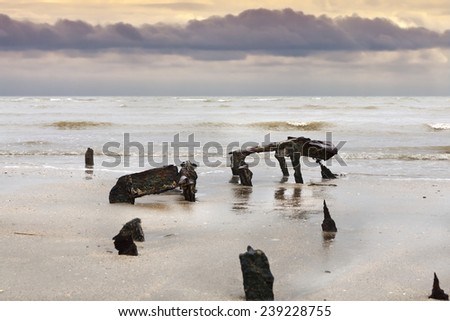 Silhouettes of the skeleton of an old armored vehicle at Utah Beach, Normandy, France