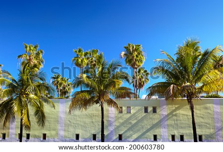 Tropical palm trees and  fragment of modern house wall against blue sky
