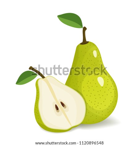 Green pear isolated on white background. Vector illustration. Cut green pear
