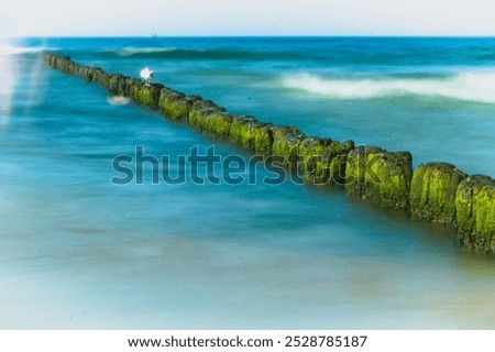 Similar – Foto Bild Langer Wellenbrecher im türkisfarbenen Meer an einem sonnigen Tag