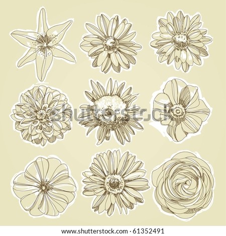 Flower Illustration - 61352491 : Shutterstock