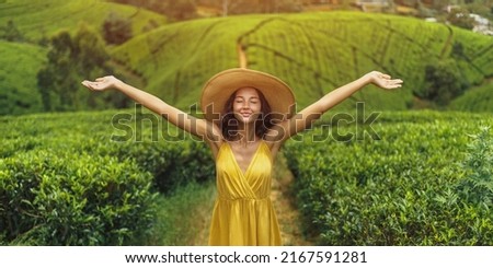 Similar – Image, Stock Photo Mountains and plantations against endless ocean in countryside