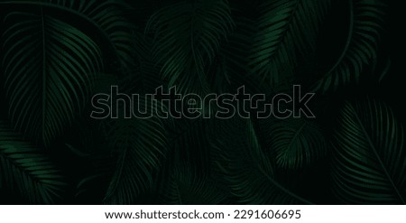 Image, Stock Photo Dark green palm tree leaves in an empty room with white wall