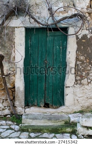 twisted vine above and around green door in an old house door