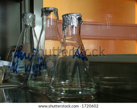 labelled bottles in the lab